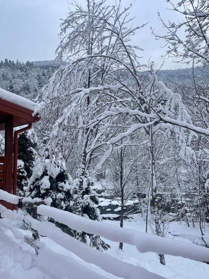 Villa Затишна De Luxe マイコリチン エクステリア 写真